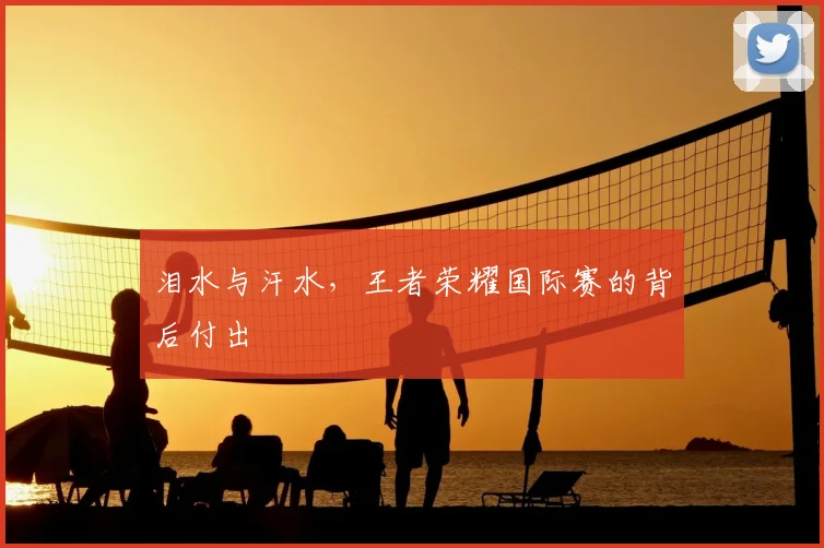 泪水与汗水,王者荣耀国际赛的背后付出