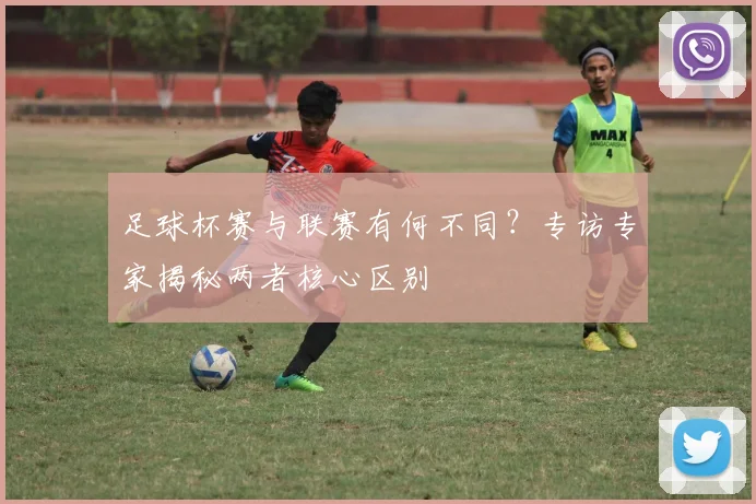 足球杯赛与联赛有何不同?专访专家揭秘两者核心区别